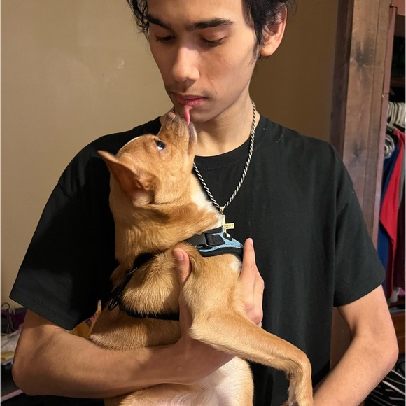 Live Show Listing💙🦋 - Picture 14 of 15